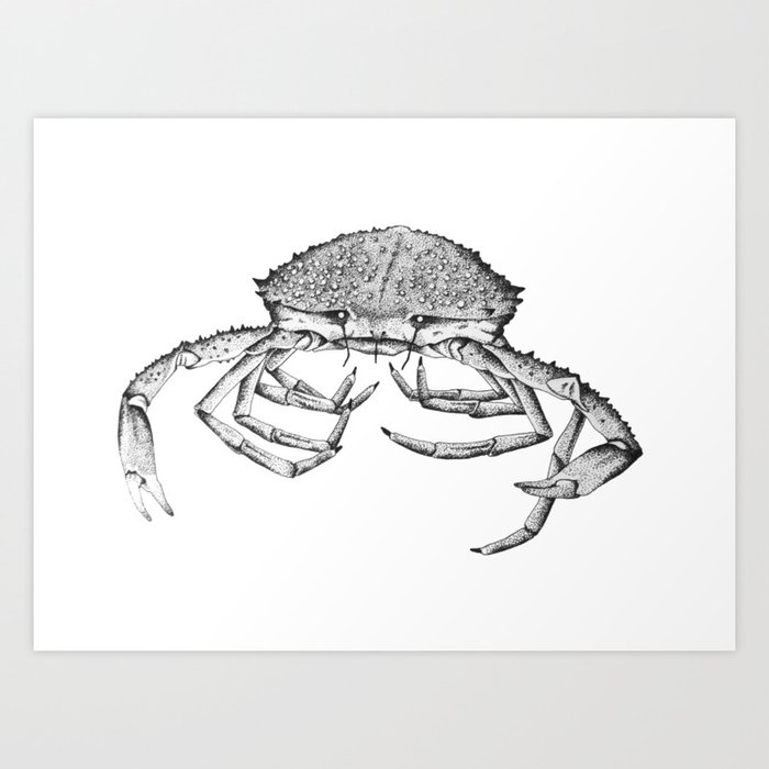Sea Spider Art Print