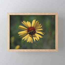 Honey Bee Framed Mini Art Print