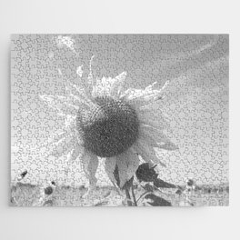 Monochromatic summer sunflower in the field Jigsaw Puzzle