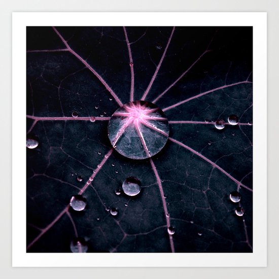 big drop abstract XIV Art Print