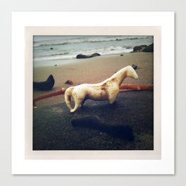 California Coast I -- Beach find caught in a photo! Perfect dreamy seaside memory for your wall :-) Canvas Print