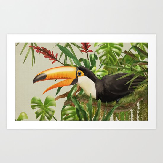 Toco Toucan vintage illustration. Art Print