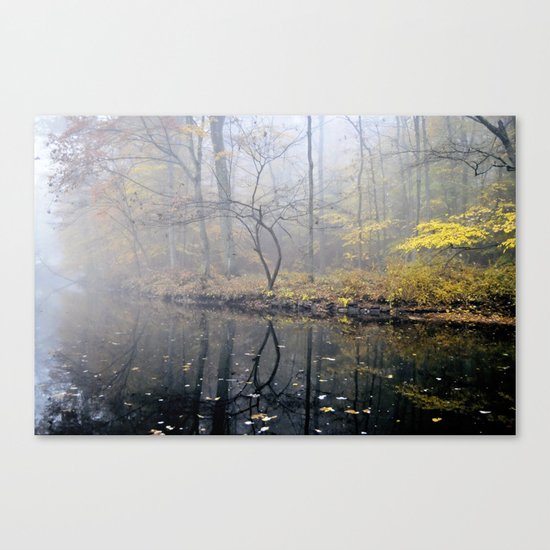 mist on the river Canvas Print