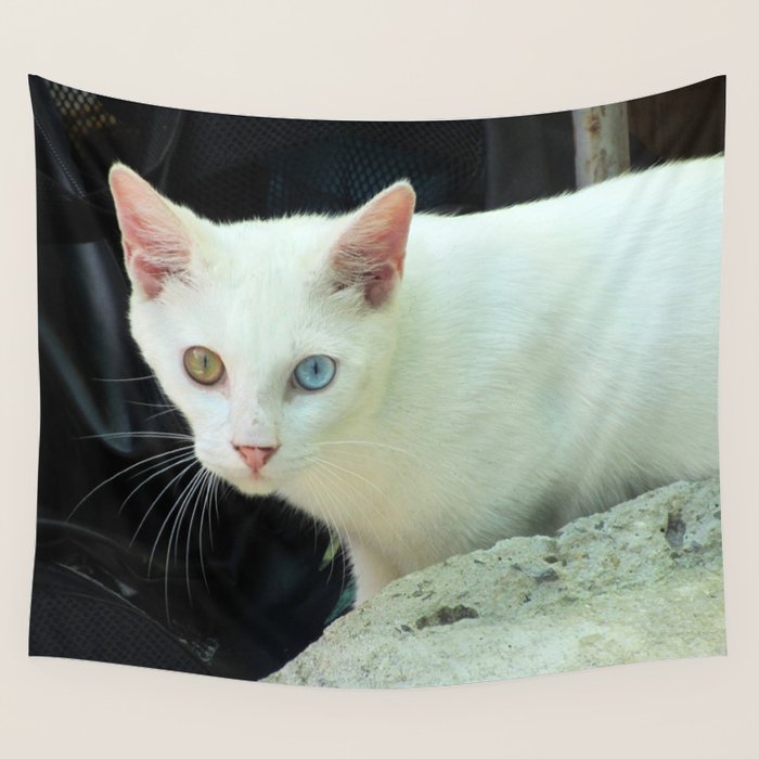 Blue And Green Eyed Cat Wall Tapestry By Ornaart Society6