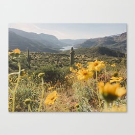 Desert Wildflower Superbloom Canvas Print