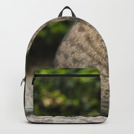Cat Outsid Backpack