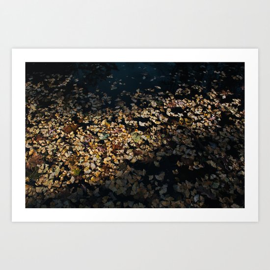Ginko Leaves Art Print