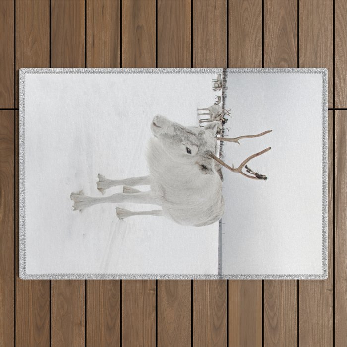 White Reindeer With Antlers In Snow Photo | North Of Norway Lapland Art Print | Travel Photography Outdoor Rug