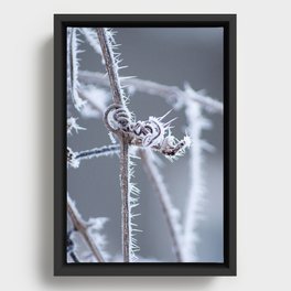 frozen Framed Canvas