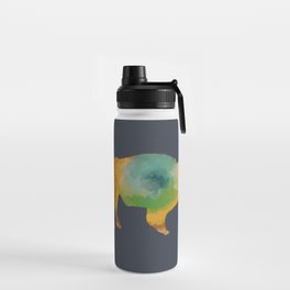 Rainbow Yellowstone Bison Water Bottle