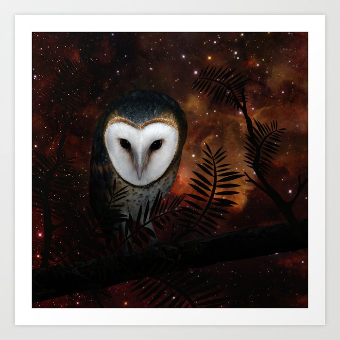 Barn owl at night Art Print