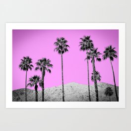 Pink Palm Trees / Desert / Palm Springs Art Print