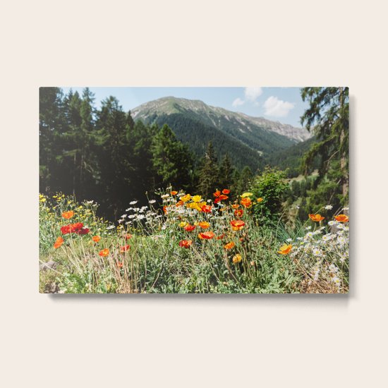 Mountain garden Metal Print