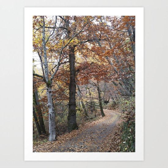 Into the fall woods. Yesterday Art Print