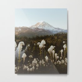 Mount Rainier NP Metal Print