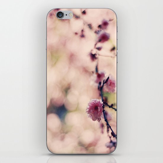 Cherry Blossom iPhone & iPod Skin