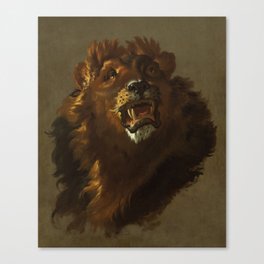 Lion by Giuseppe Baldrighi Canvas Print