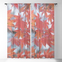 Red Maple leaves Sheer Curtain