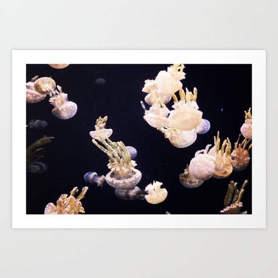 The Jellies Art Print