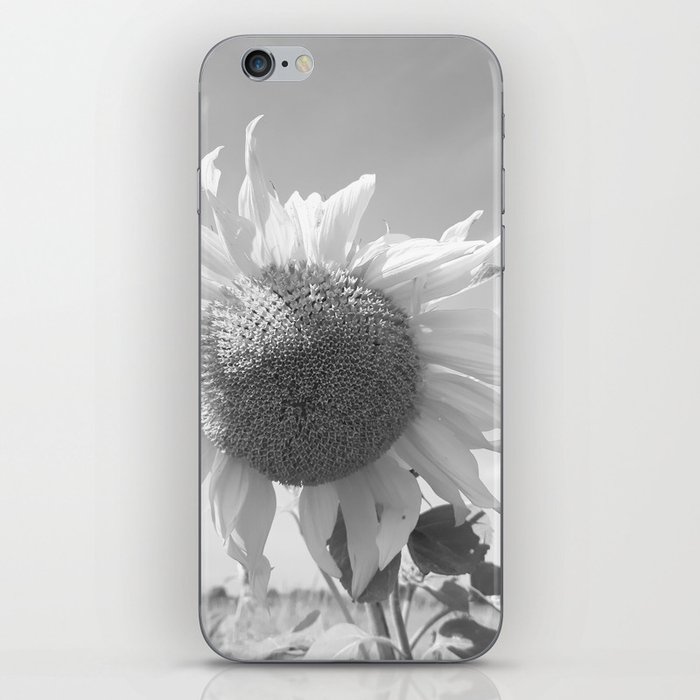 Monochromatic summer sunflower in the field iPhone Skin