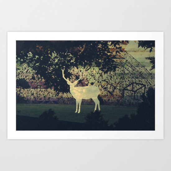 Deer Art Print