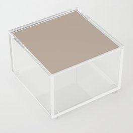 Neutral Midtone Gray Beige Solid Color PPG Diversion PPG1021-4 - All One Single Shade Hue Colour Acrylic Box