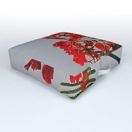 Tropical Tree Royal Poinciana With Beautiful red Flowers Outdoor Floor Cushion