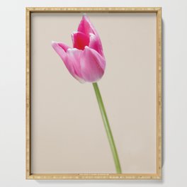 Pastel colored Dutch tulip photo Fine Art Print Serving Tray