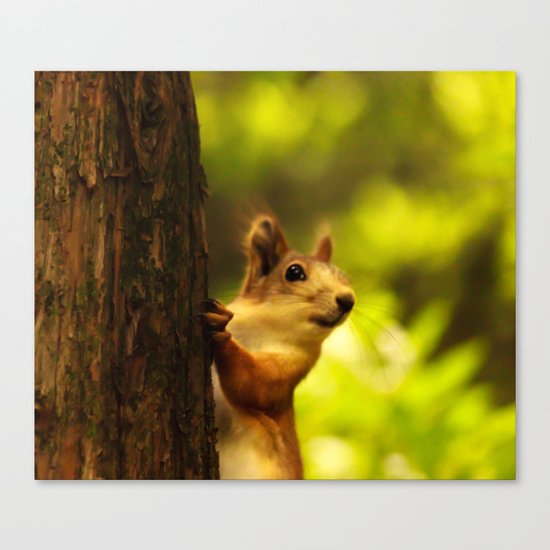 Did you say something? Canvas Print