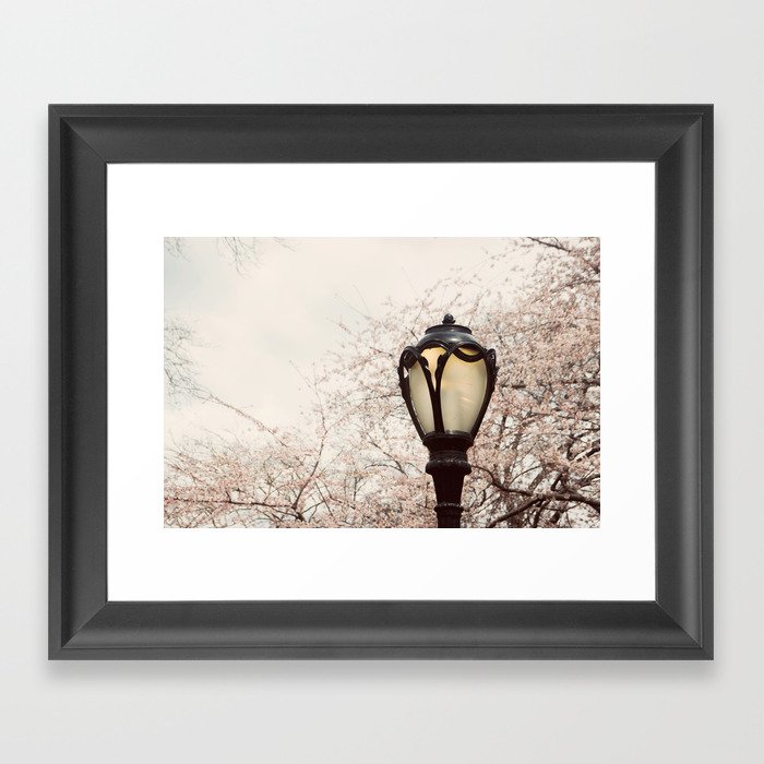 Central Park Blossom #1 Framed Art Print