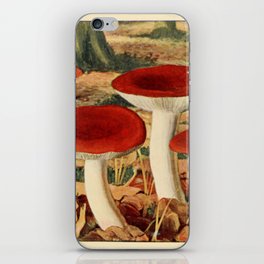 Naturalist Mushroom iPhone Skin