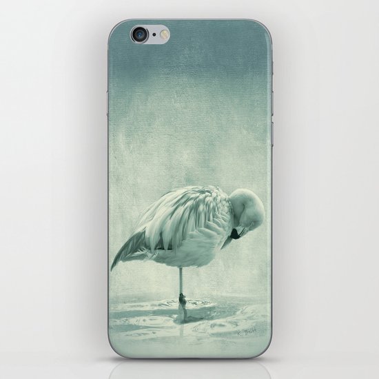 Flamingo Blues iPhone & iPod Skin