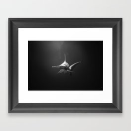 Hammerhead Shark (Black and White) Framed Art Print