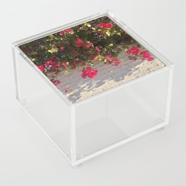 Organic Textures Acrylic Box
