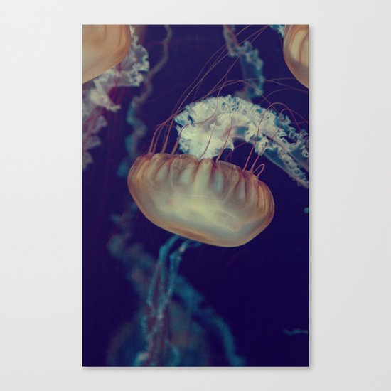 La méduse solitaire (3) Canvas Print
