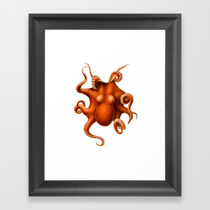Octopus by Ernst Haeckel Framed Art Print
