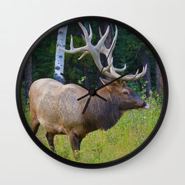 Bull Elk shows off his rack in Jasper National Park Wall Clock