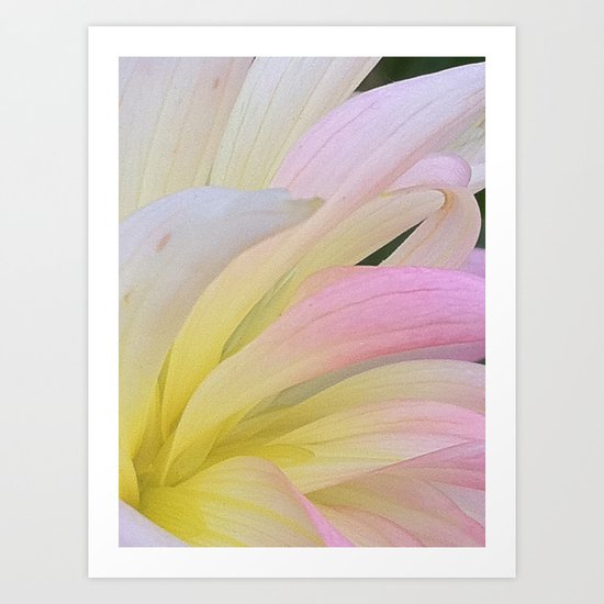 Water Color Art Print