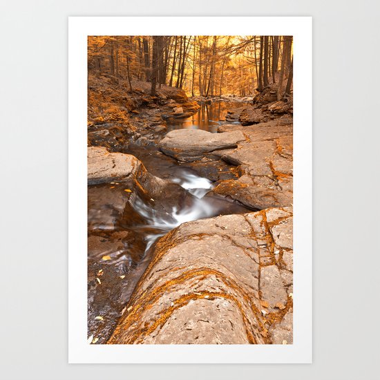 Worlds End Forest Stream - Gold Rapture Art Print