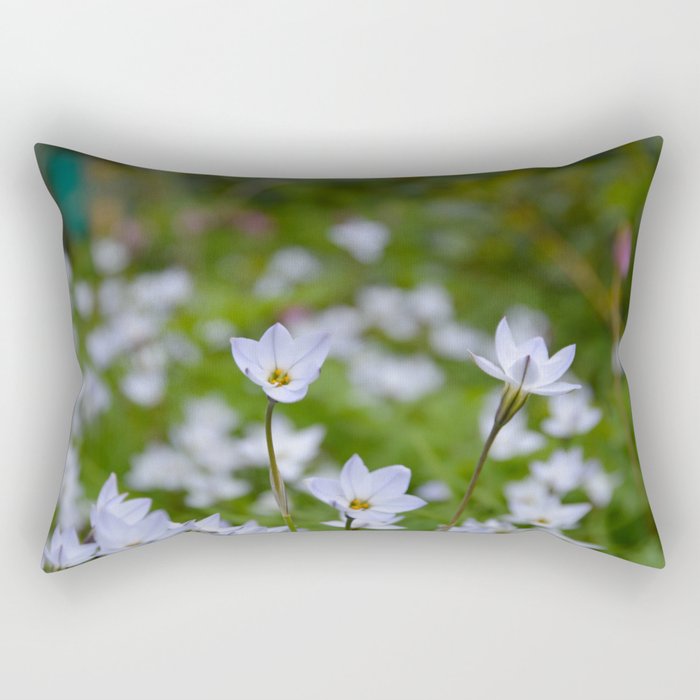 Spring Starflower  - Tristagma uniflorum Rectangular Pillow