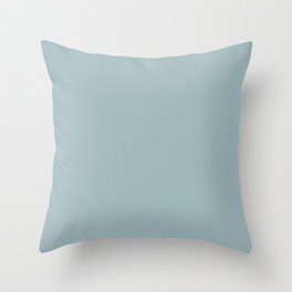 Dark Pastel Blue Solid Color Inspired by Benjamin Moore Buxton Blue HC-149 Throw Pillow