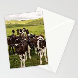 New Zealand Photography - Flock Of Cows On The Grassy Field Stationery Card