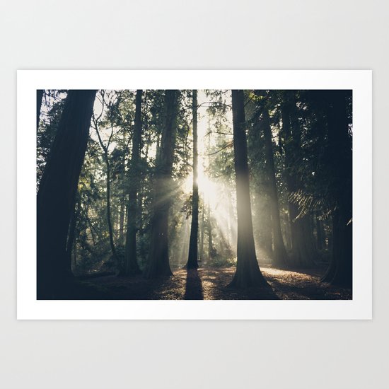 Sun Beam Art Print