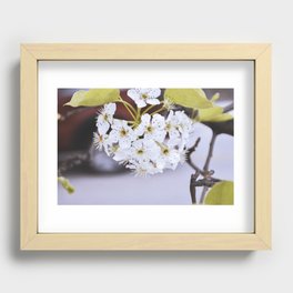 White Flowers Recessed Framed Print