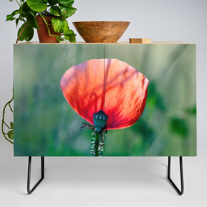 Sunlit Scarlet: Blooming Red Poppy Credenza