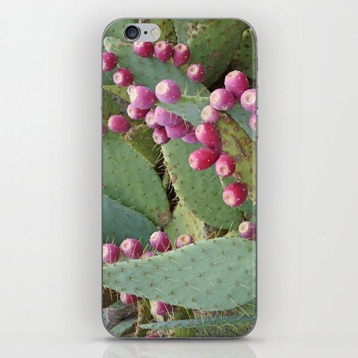 Desert Fruit iPhone Skin