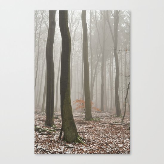 misty woods Canvas Print