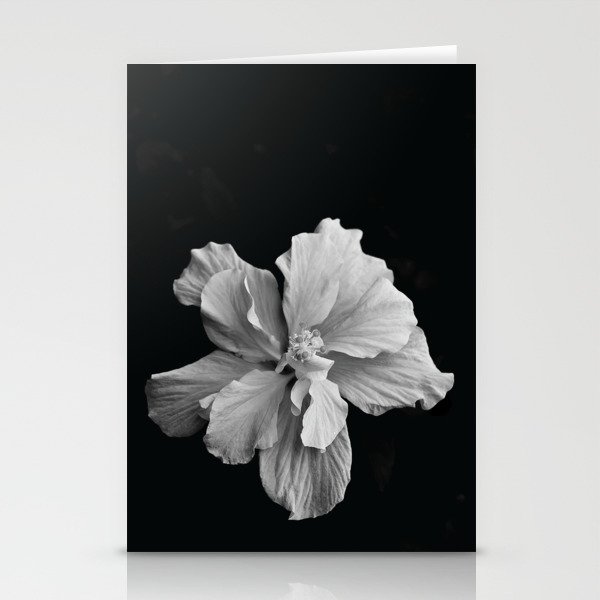 Hibiscus Drama - Black and Grey Stationery Cards