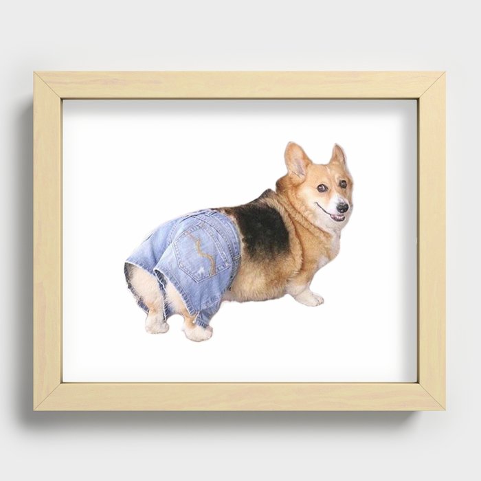 Corgi 2025 in jeans