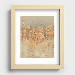 Mustard Yellow Flowers - Flower photography by Ingrid Beddoes Recessed Framed Print